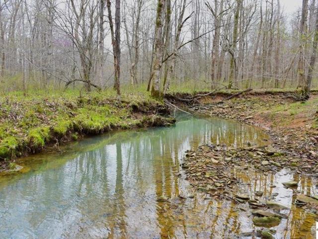 Farm for sale in Ledbetter, Kentucky
