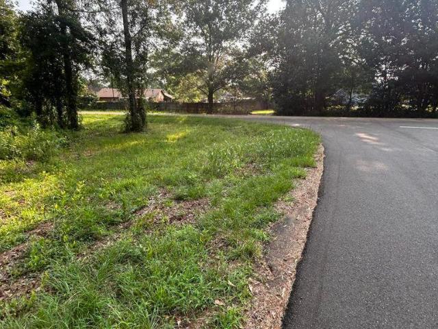 Land for sale in Bogue Chitto, Mississippi