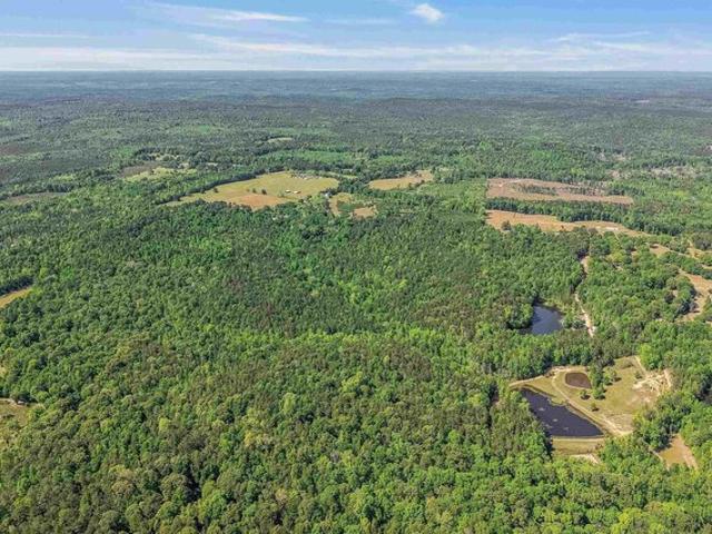 Land for sale in Lawley, Alabama