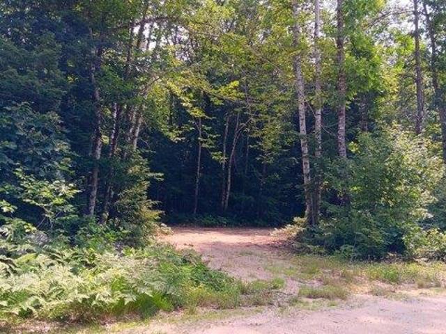 Land for sale in Lovell, Maine