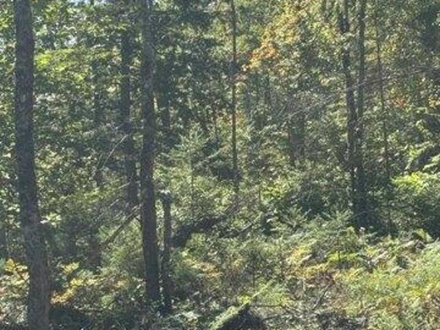 Land for sale in Lovell, Oxford County