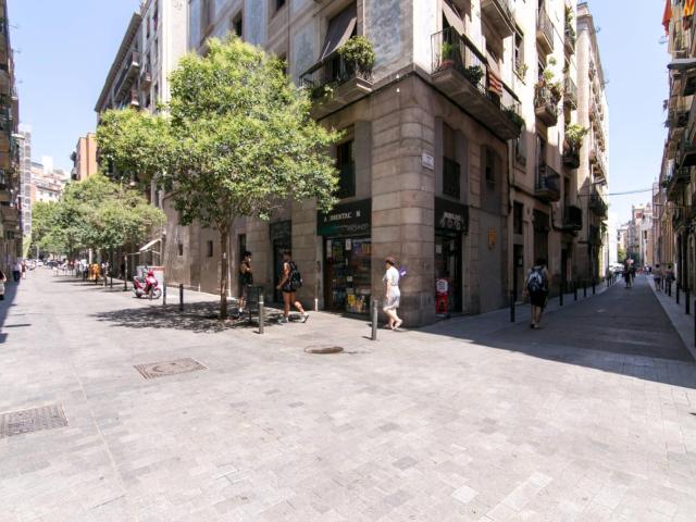 Apartamento en alquiler en Ciutat Vella, Barcelonès