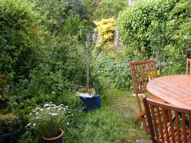 House for rent in Chesterton, Arbury