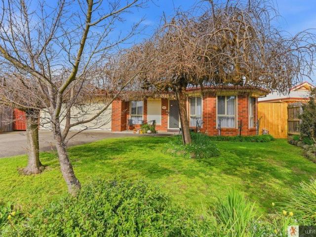 House for sale in Camerons Creek, Victoria