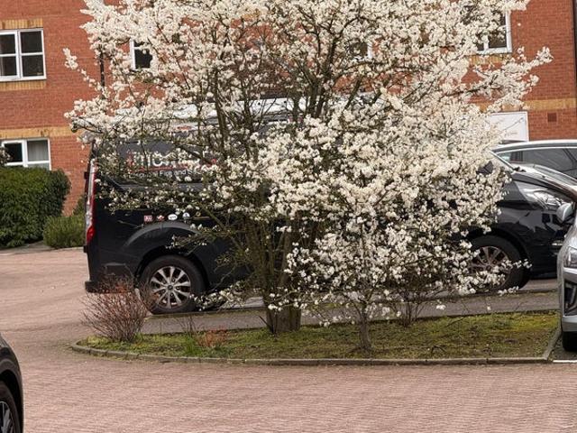 Apartment for rent in Kidbrooke, Greater London