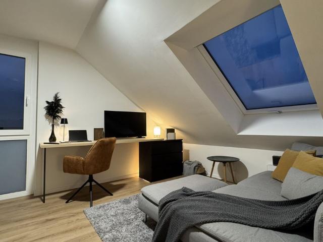 Apartment mieten in Innenstadt, Erlangen