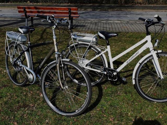 Apartment mieten in Laubegast, Dresden