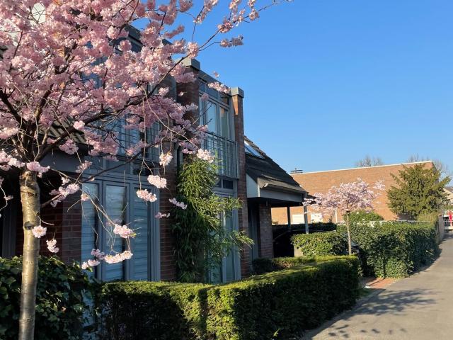 Haus mieten in Kaiserswerth, Düsseldorf