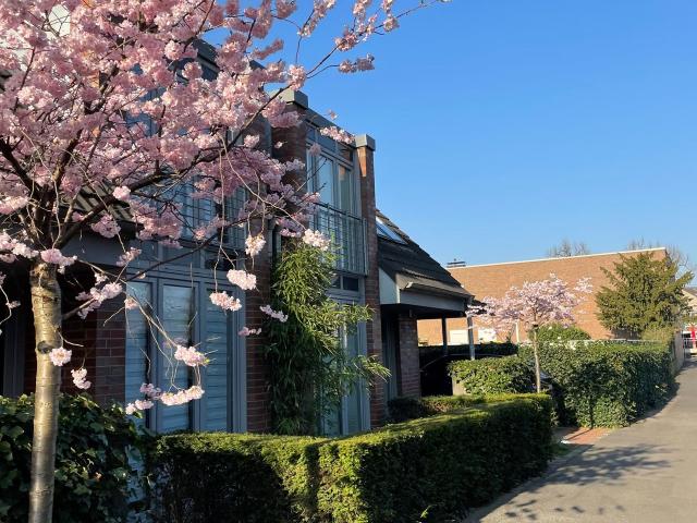 Haus mieten in Kaiserswerth, Düsseldorf