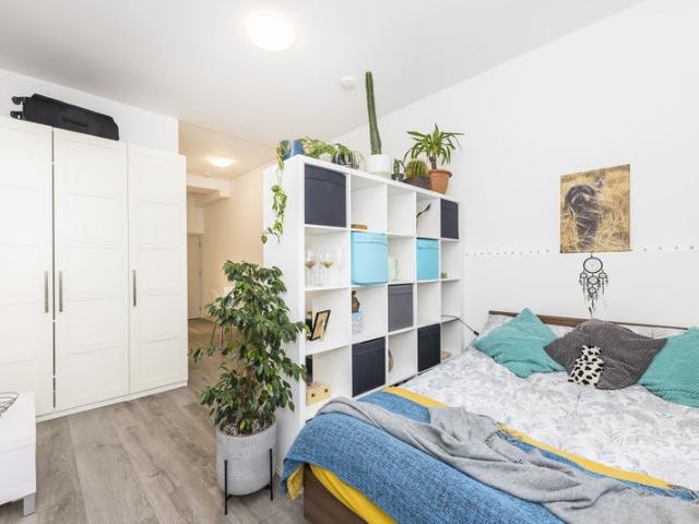 Studio for rent in Harlesden, Greater London