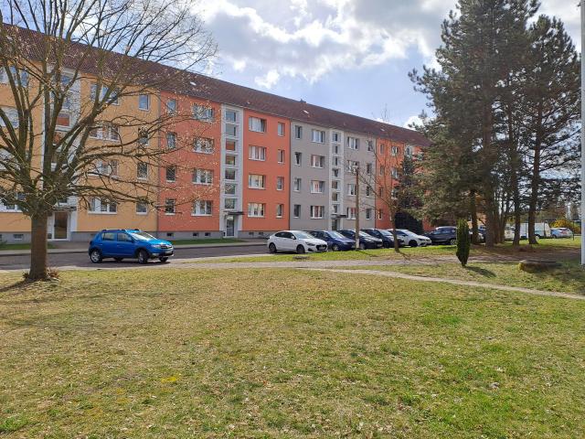 Apartment mieten in Muldenstein