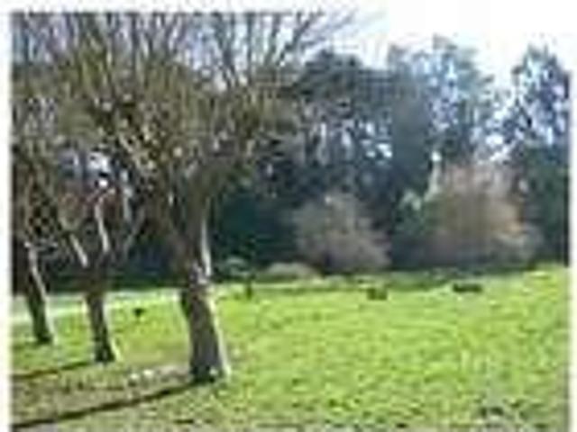 House for rent in San Francisco