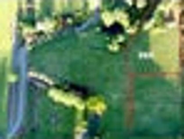 Land for sale in Karetu, Northland