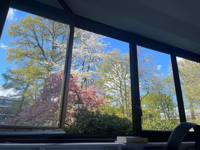 Appartement location à La Celle-saint-cloud, Yvelines