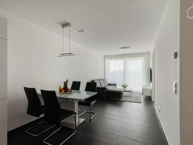 Apartment mieten in Nied, Sachsenhausen