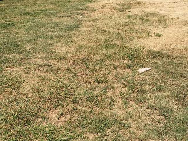 Land for sale in Alberton, Brackenhurst