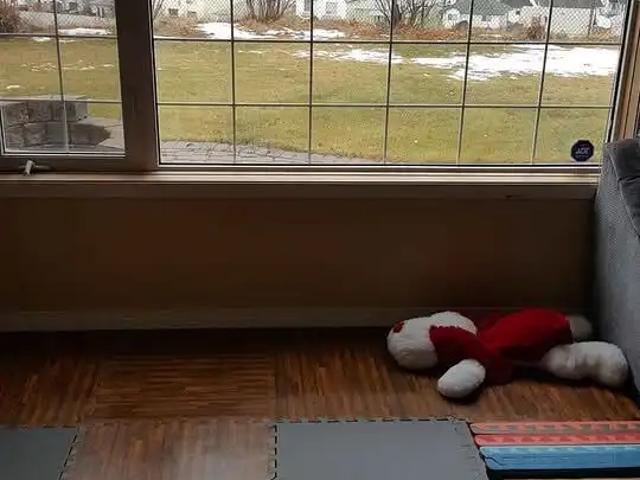 Apartment for rent in Northwest, Alberta