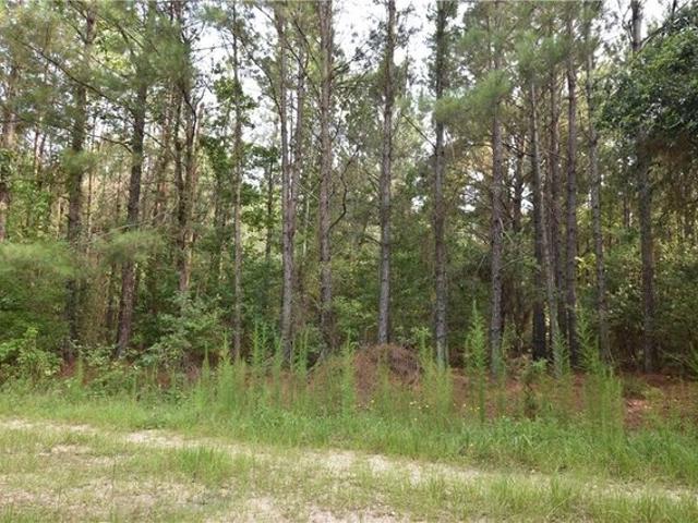 Land for sale in Pearl River, Louisiana