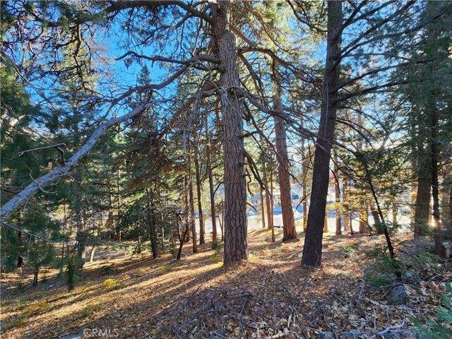 Land for sale in Rimforest, California