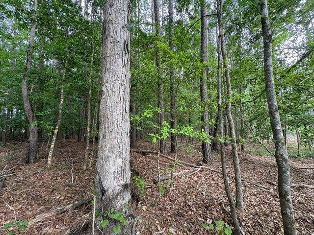 Land for sale in Ark