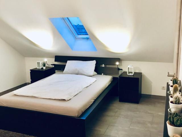 Apartment mieten in Westliches Ringgebiet, Braunschweig