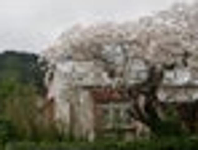 House for sale in Featherston, Wellington