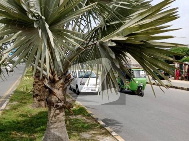 Property for sale in Rawalpindi, Islamabad Capital Territory