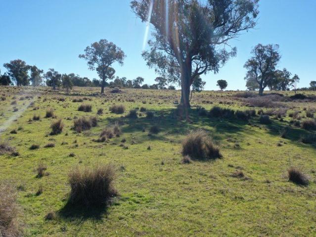 Acreage for sale in Bundarra, New South Wales
