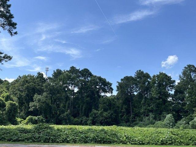 Land for sale in Ehrhardt, South Carolina