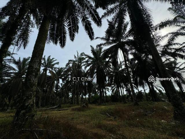 Residential House for sale in Bukit Ledang, Johor