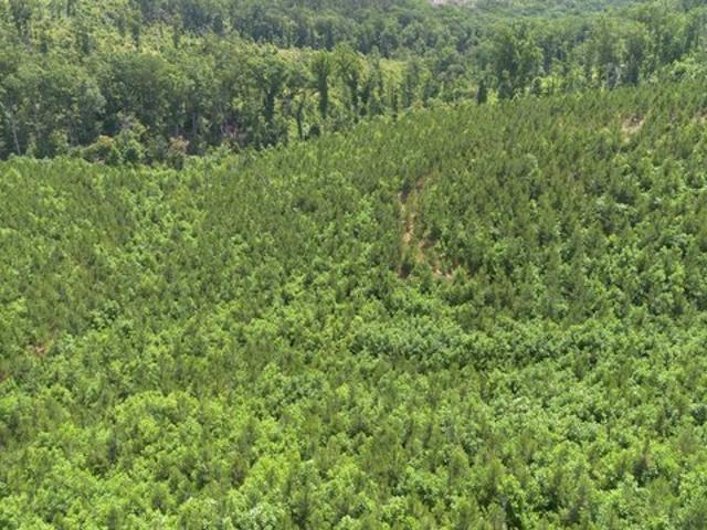 Land for sale in Tennessee