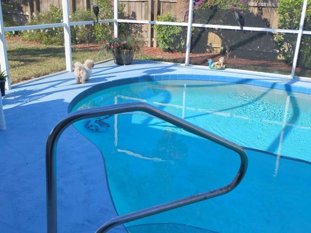 Room for rent in Satellite Beach, Florida