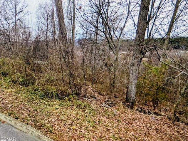 Land for sale in Tennessee