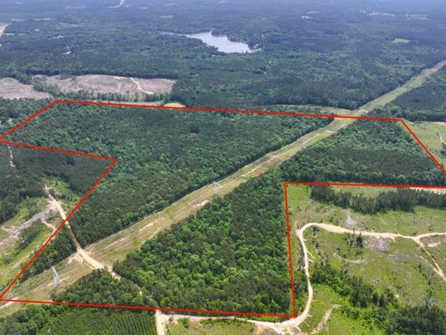 Land for sale in Bogue Chitto, Mississippi