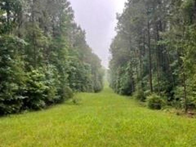 Land for sale in Hazlehurst, Mississippi