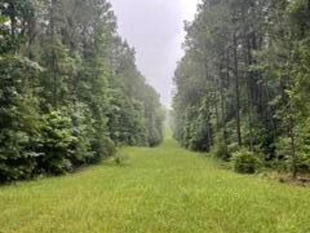 Land for sale in Hazlehurst, Mississippi