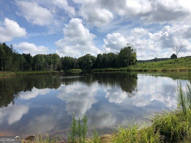 Land for sale in Madison, Georgia