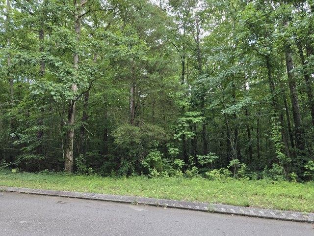 Land for sale in Tennessee