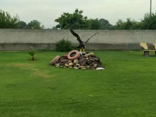 Land for sale in Faisalabad, Islamabad Capital Territory