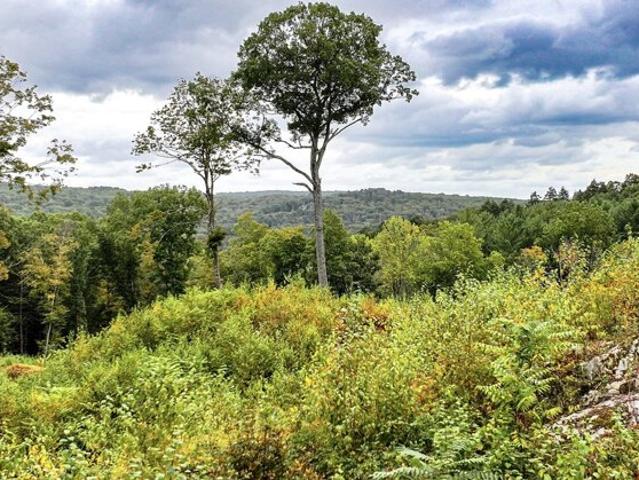 Land for sale in Washington, Connecticut