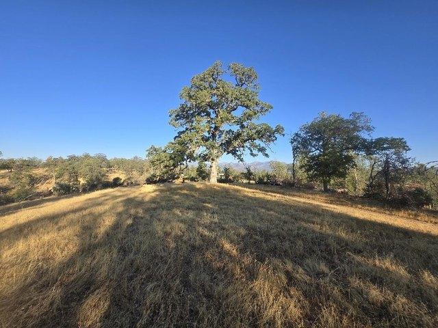 Land for sale in Shasta, California