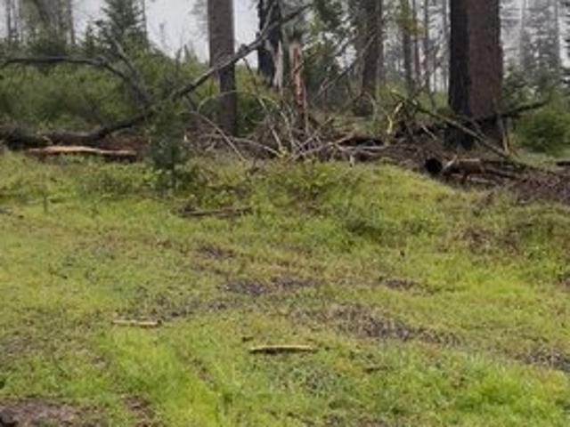 Land for sale in Auberry, California