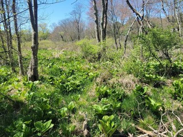 Land for sale in Dallas, Pennsylvania
