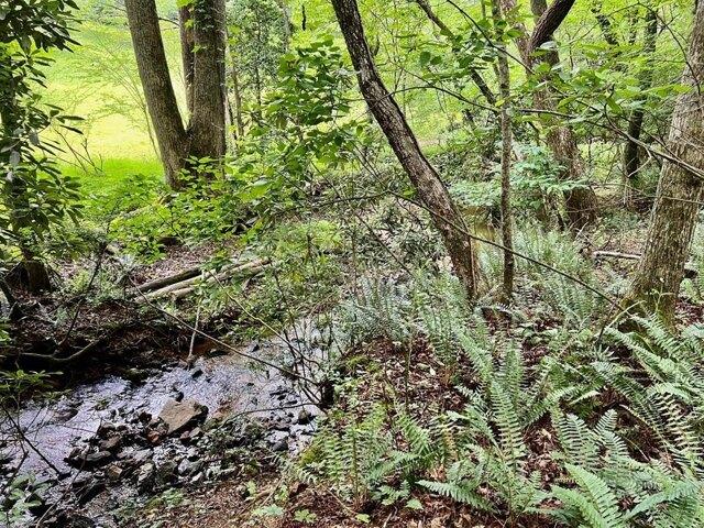 Land for sale in Blairsville