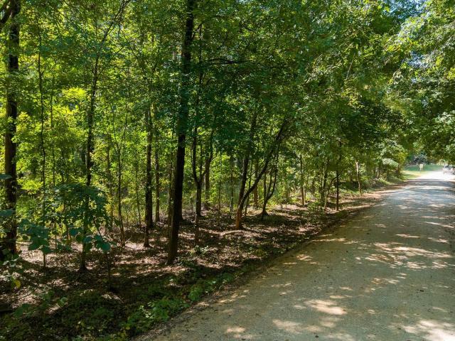 Land for sale in Childersburg, Talladega County