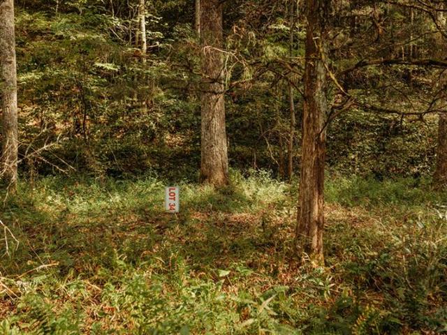 Land for sale in Wolfe, Kentucky