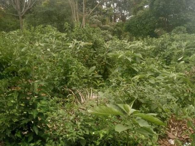 Land for sale in Kabete, Kisumu