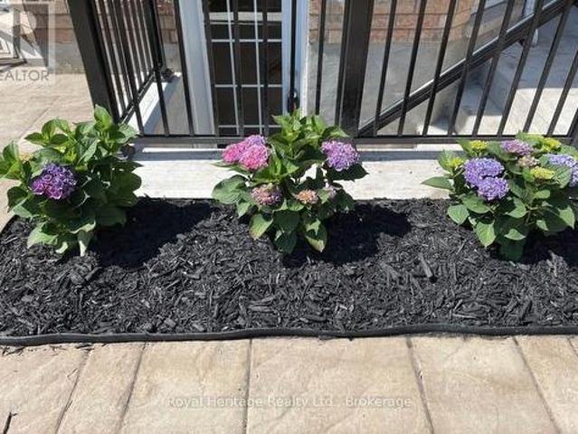 House for rent in Durham, Ontario