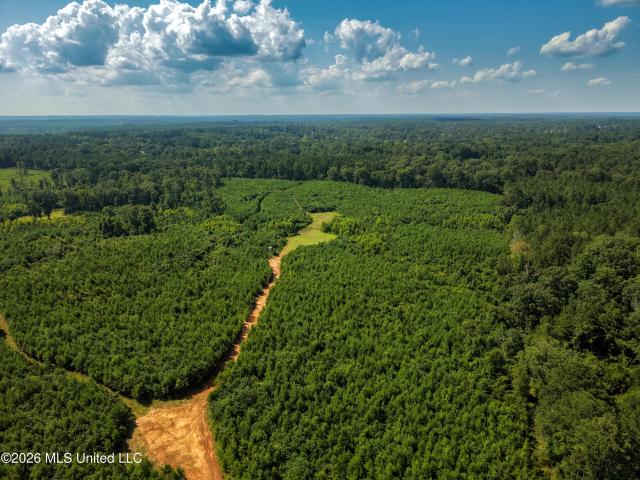 Land for sale in Liberty, Mississippi