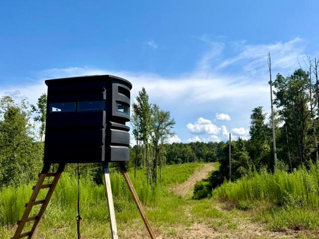 Land for sale in Liberty, Mississippi